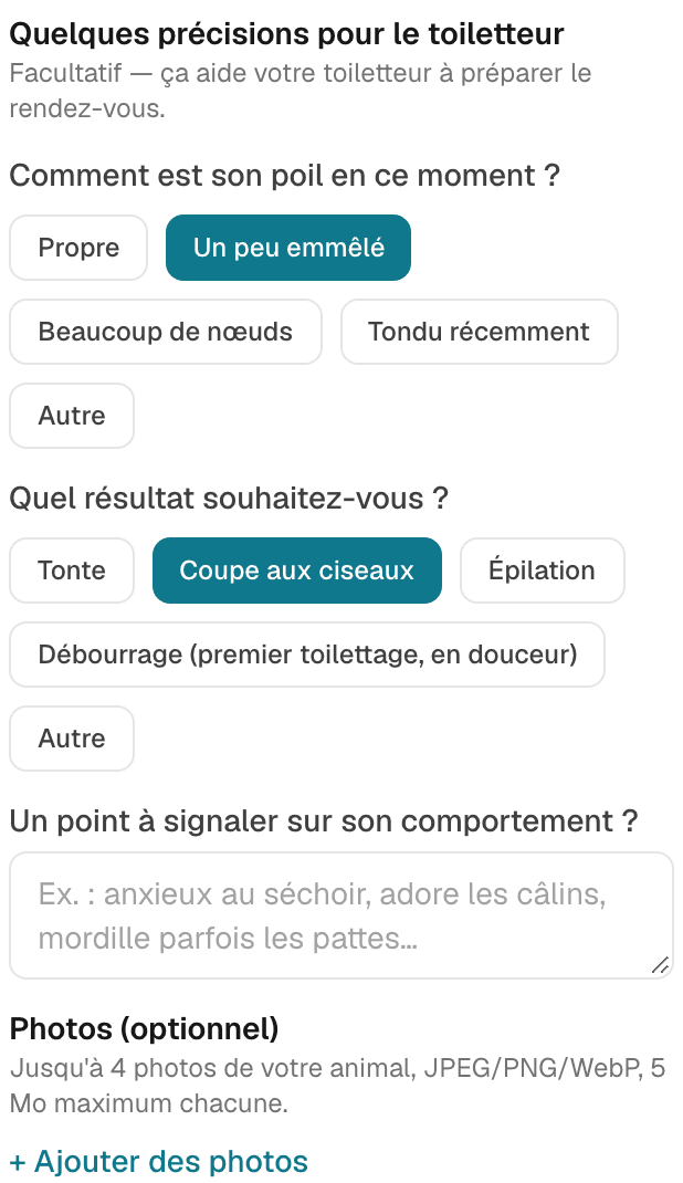 Capture d'IRONN : sur la page de réservation, le bloc facultatif « Quelques précisions pour le toiletteur », avec l'état du poil et le résultat souhaité à choisir