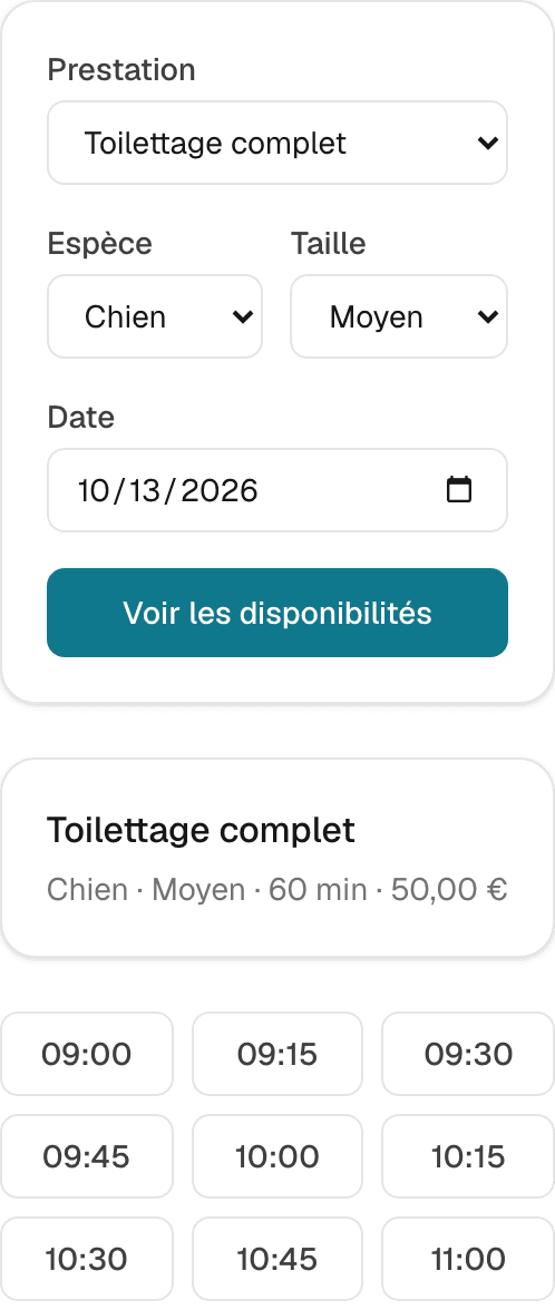 Capture d'IRONN : page de réservation en ligne d'un salon, avec les créneaux disponibles pour une prestation et un jour donnés